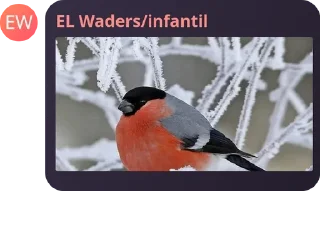🇫🇲 emoji Стикерпак легендарного чата #2 Telegram sticker 13 of 120