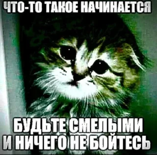🤞 emoji Паразитарно-трупоядное урочище Telegram sticker 10 of 105