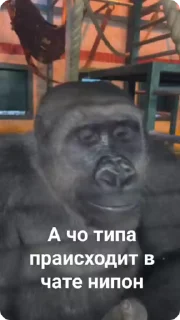 🌟 emoji На случай важных переговоров Telegram sticker 22 of 41