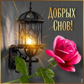 ♉ emoji Стикеры, сделанные @djieo Telegram sticker 19 of 35