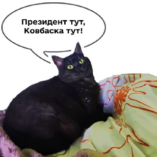 😄 emoji Колбаска Telegram sticker 12 of 44