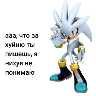 Sticker from sonic facts