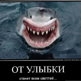 Sticker from Эти стикеры частная собственность . Не воровать