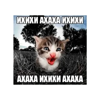 😁 emoji Больше стикеров 👉🏻 @stickertg4 Telegram sticker 8 of 16
