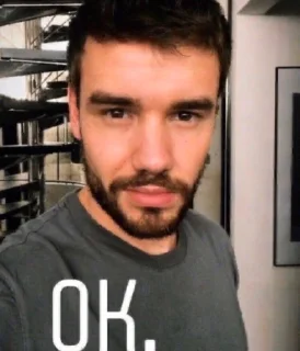 😤 emoji it's all payne no liam Telegram sticker 17 of 82