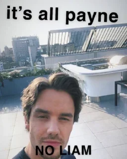 🥲 emoji it's all payne no liam Telegram sticker 8 of 82