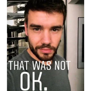 🤨 emoji liam PAYNE Telegram sticker 14 of 41