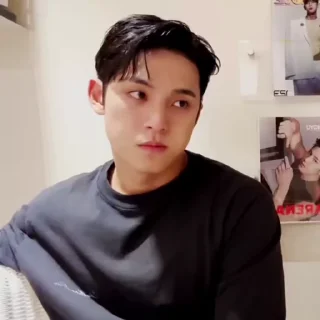 🎱 emoji mingyu @svtwe Telegram sticker 9 of 30