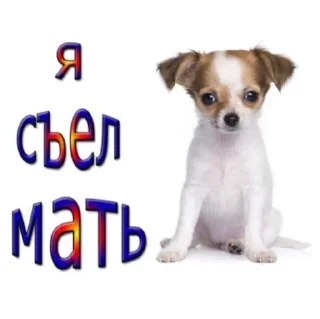 💗 emoji хуй сосёшь не вкусный?) Telegram sticker 6 of 36