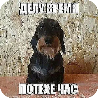 👍 emoji Ты никогда не задумывался Telegram sticker 13 of 120
