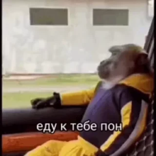 Sticker from Бибизян
