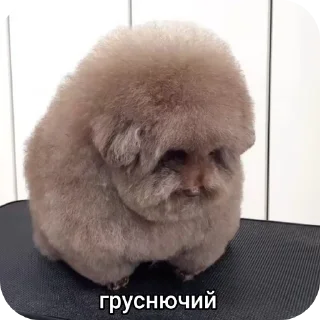 🤲 emoji У меня стояк Telegram sticker 9 of 99