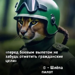 😂 emoji ZOV Telegram sticker 19 of 120