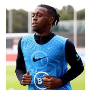 💪 emoji Wan-Bissaka Telegram sticker 20 of 30