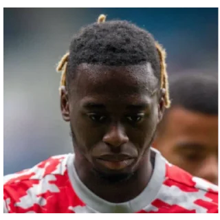 😥 emoji Wan-Bissaka Telegram sticker 19 of 30