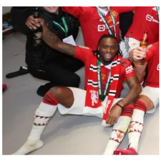 🍾 emoji Wan-Bissaka Telegram sticker 15 of 30