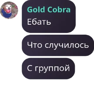 Sticker from Деревня из бориса чат ➡️ @Derevna_borisa