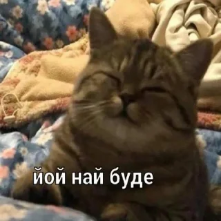 🙂 emoji Байрактари і арта Telegram sticker 15 of 76