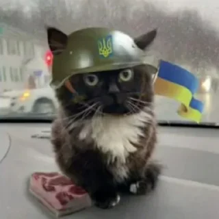 🪖 emoji Байрактари і арта Telegram sticker 16 of 76