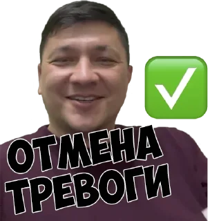 ✅ emoji Байрактари і арта Telegram sticker 19 of 76