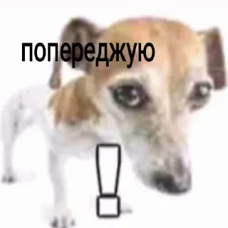 ❗ emoji Байрактари і арта Telegram sticker 11 of 76