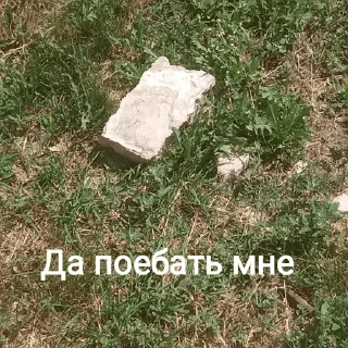 Sticker from Камень