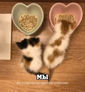 ❤️ emoji кошька вишня ”ᵎ @plwjme Telegram sticker 22 of 82