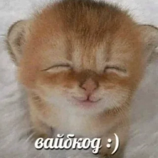 👾 emoji БОЛЬШЕ ⇨ @CLOOBHUB МЕМЫ КОТЫ ОКАК СТИКЕРЫ ТГ КРД Telegram sticker 19 of 116