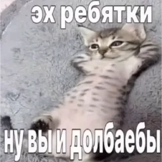 👾 emoji БОЛЬШЕ ⇨ @CLOOBHUB МЕМЫ КОТЫ ОКАК СТИКЕРЫ ТГ КРД Telegram sticker 11 of 116