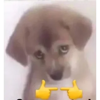 👾 emoji БОЛЬШЕ ⇨ @CLOOBHUB МЕМЫ КОТЫ ОКАК СТИКЕРЫ ТГ КРД Telegram sticker 24 of 116