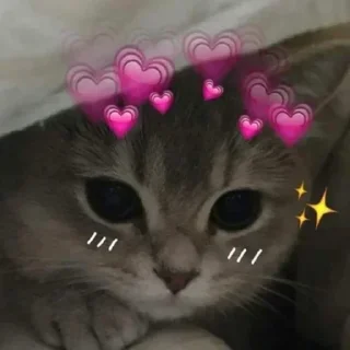 👾 emoji БОЛЬШЕ ⇨ @CLOOBHUB МЕМЫ КОТЫ ОКАК СТИКЕРЫ ТГ КРД Telegram sticker 12 of 116