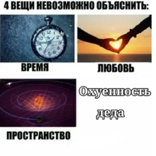 😍 emoji Элитные голуби Telegram sticker 13 of 76