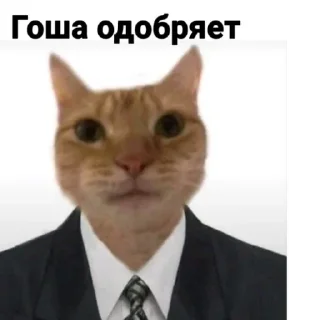 Sticker from Элитные голуби