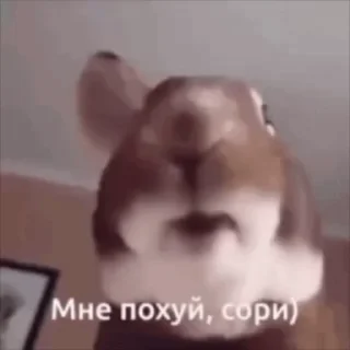 🌟 emoji Когда пон не пон pilot21 Telegram sticker 19 of 120
