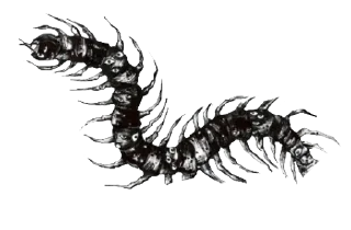 ☠ emoji для фоток Telegram sticker 12 of 28
