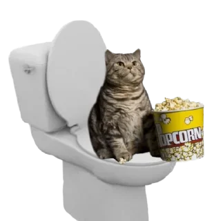 🍿 emoji Попкорн Крис Telegram sticker 23 of 23