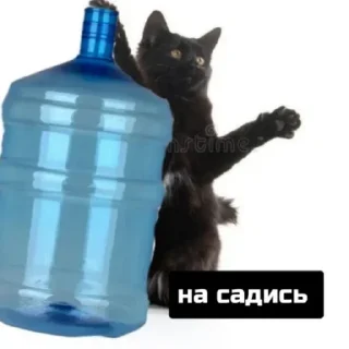 😼 emoji leslie_meiner Telegram sticker 17 of 119