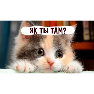 🌟 emoji няшкі Telegram sticker 17 of 30