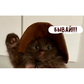 🌟 emoji няшкі Telegram sticker 20 of 30