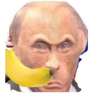 Sticker from monke