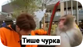 😒 emoji понятно Telegram sticker 11 of 30