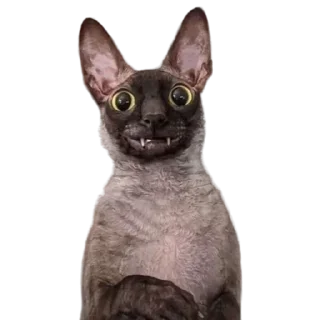 ❓ emoji пиксель @pixel_gifs Telegram sticker 8 of 80