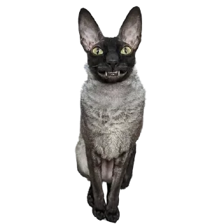 🎀 emoji пиксель @pixel_gifs Telegram sticker 12 of 80