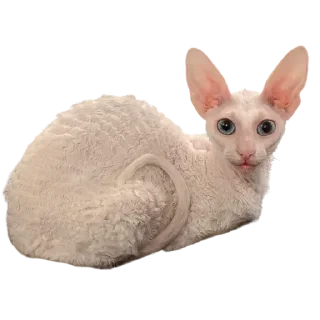 🤔 emoji пиксель @pixel_gifs Telegram sticker 22 of 80