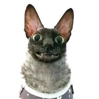 ❤️ emoji пиксель @pixel_gifs Telegram sticker 10 of 80