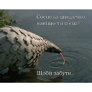 😔 emoji респект и рэп Telegram sticker 15 of 77