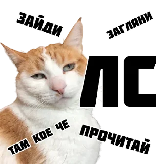 Sticker from Котики