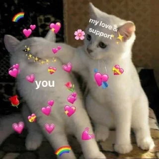💞 emoji Котики Telegram sticker 5 of 34