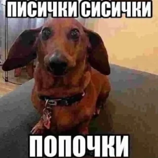 Sticker from эстетика клинкор