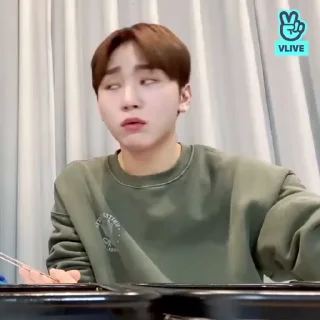 👽 emoji seungkwan @SSICTS Telegram sticker 11 of 40